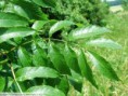/album/fotogaleria/stiahnut-jpg/